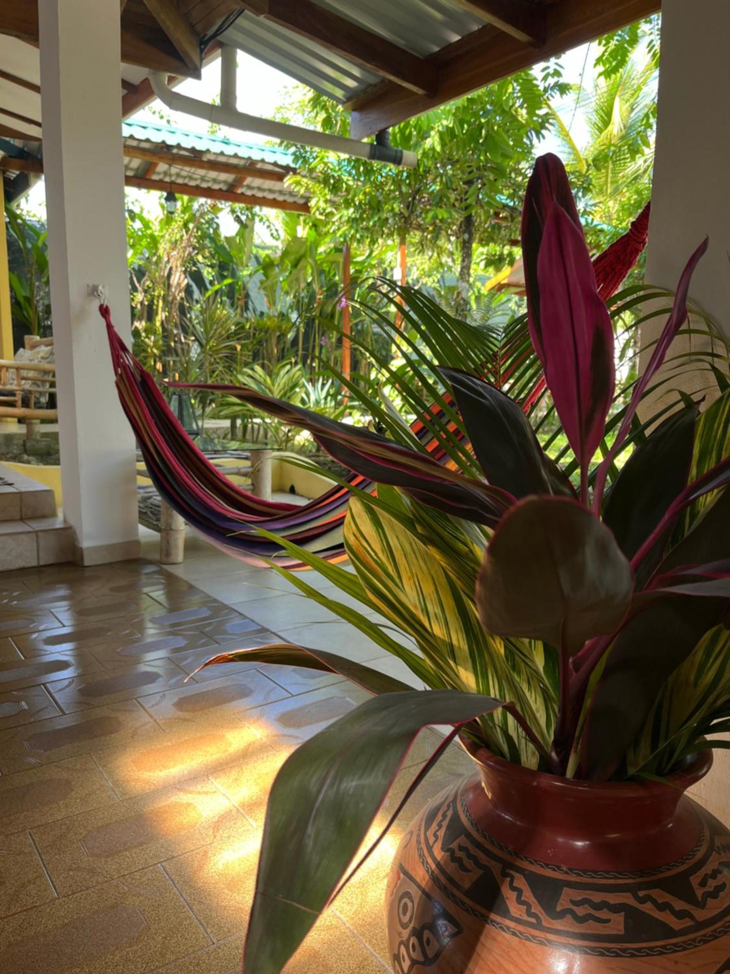 Hotel Pura Vida Puerto Viejo de Talamanca Dış mekan fotoğraf