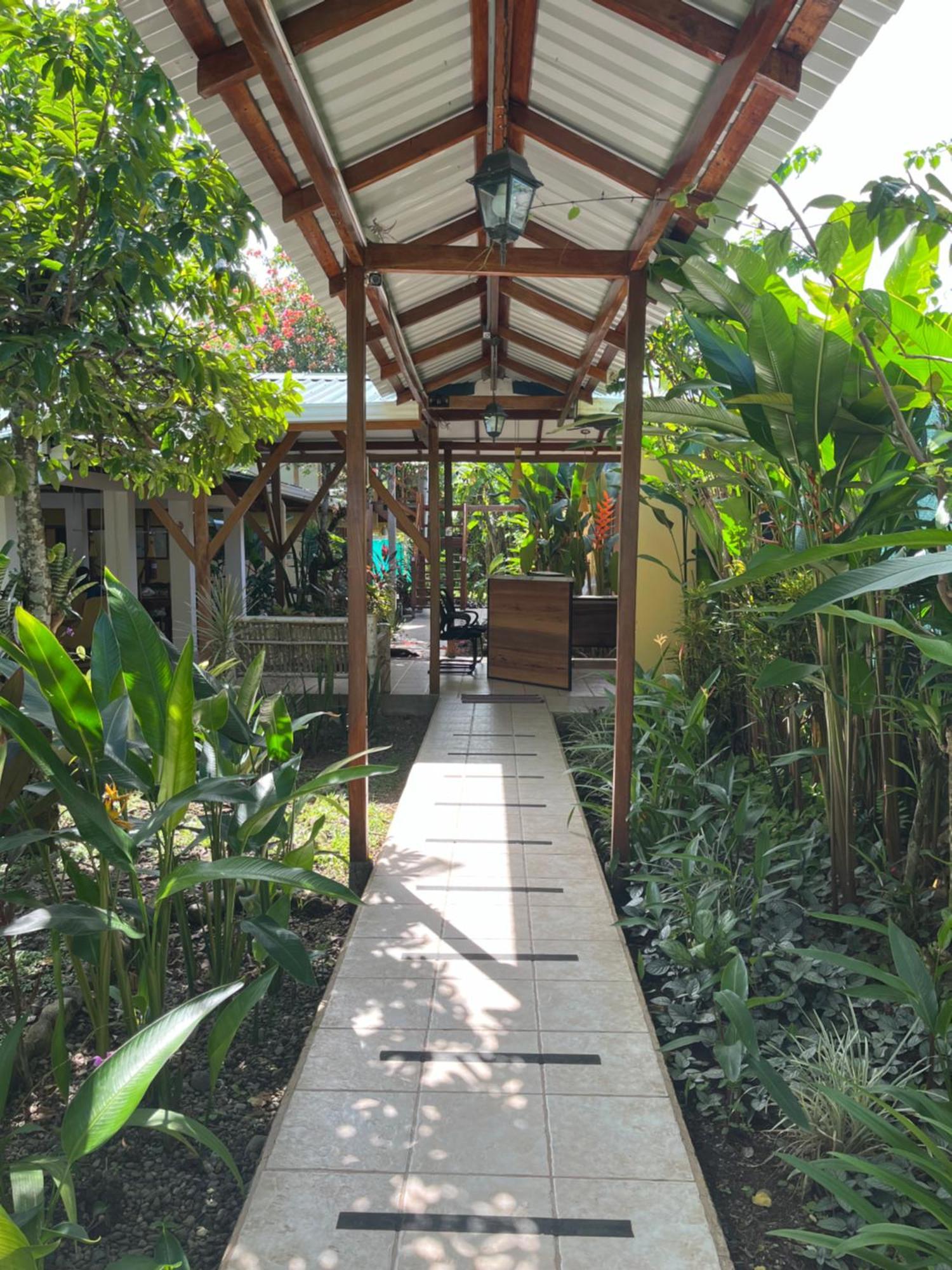 Hotel Pura Vida Puerto Viejo de Talamanca Dış mekan fotoğraf
