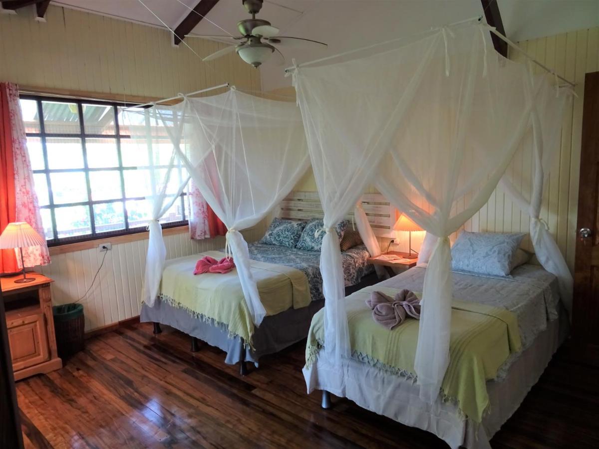 Hotel Pura Vida Puerto Viejo de Talamanca Dış mekan fotoğraf