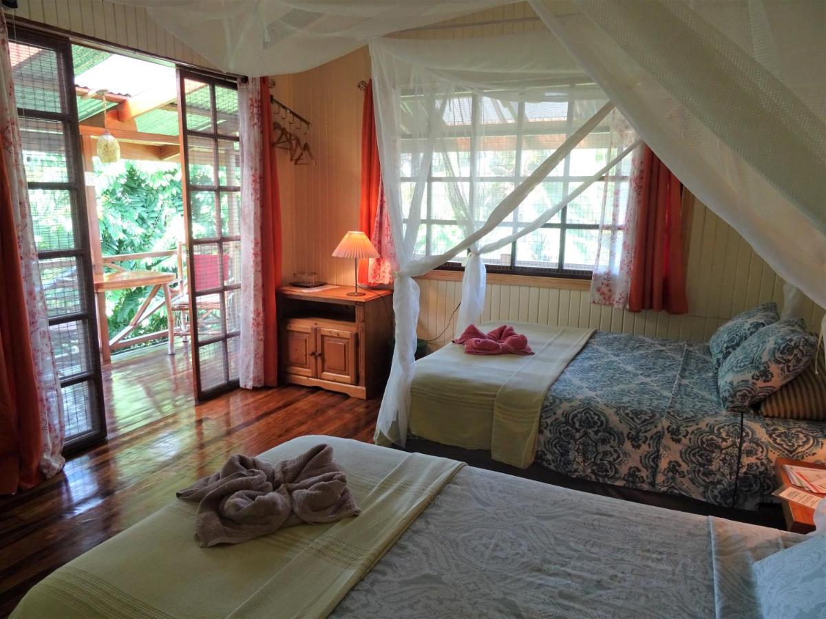 Hotel Pura Vida Puerto Viejo de Talamanca Dış mekan fotoğraf